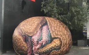 Half Man Half Bird, Paints Surreal Creatures Popping In And Out Of Walls Around The World.