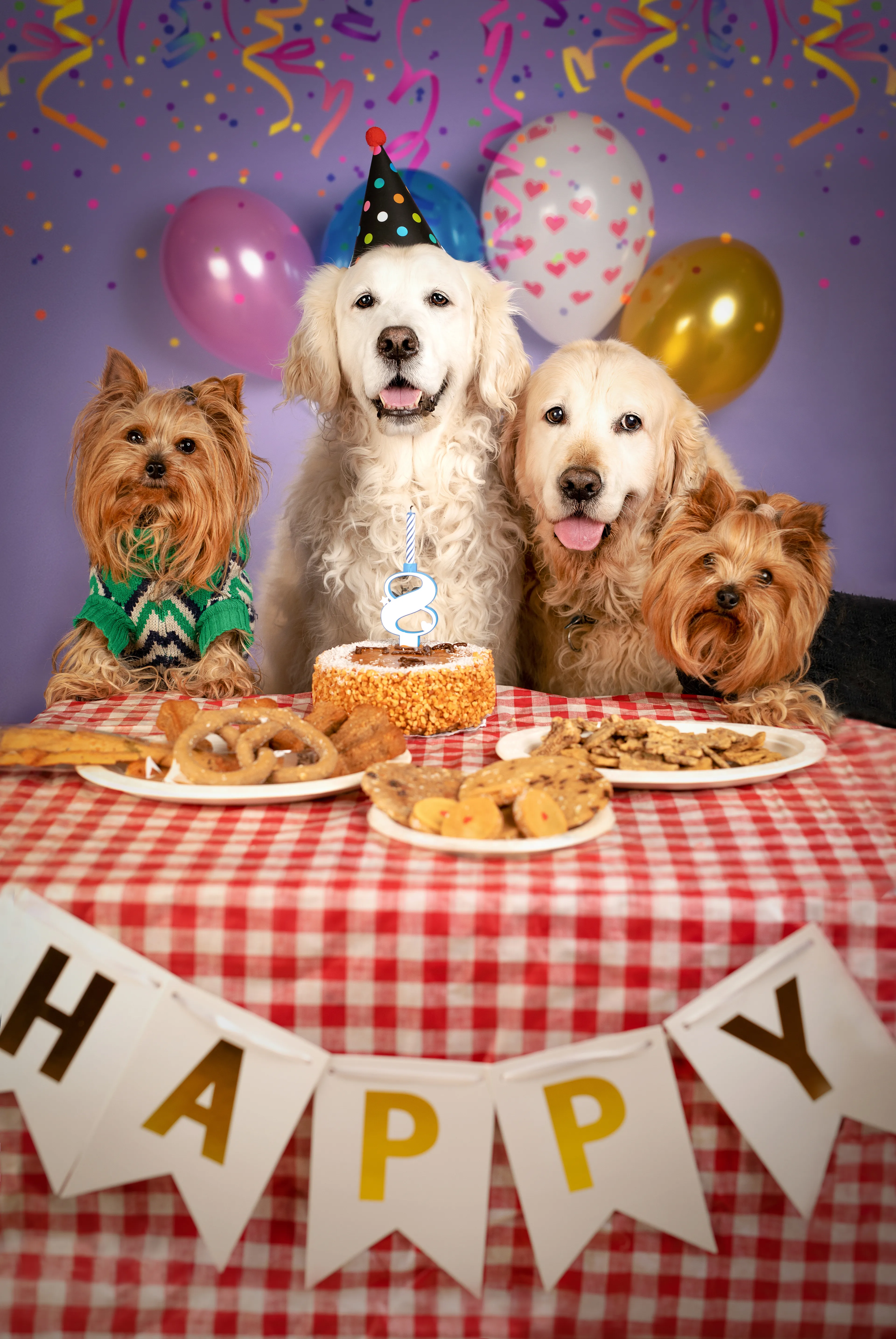 Party Hard