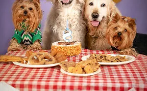 Party Hard