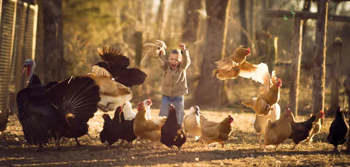 I Share My 3 Step Process On How I Capture The Perfect Photo