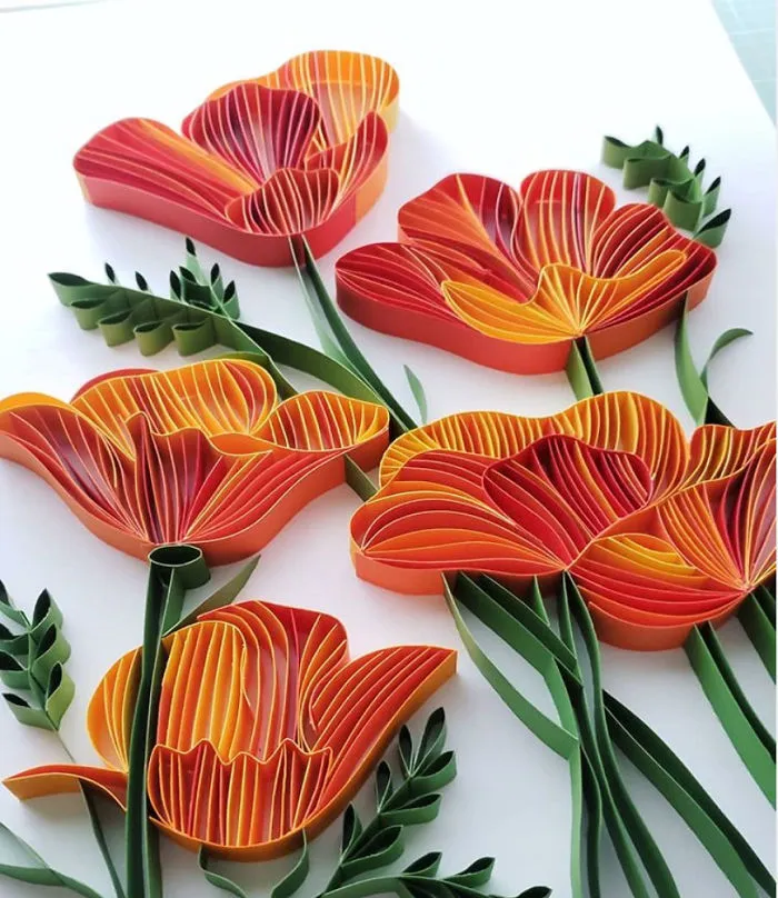 California Poppies