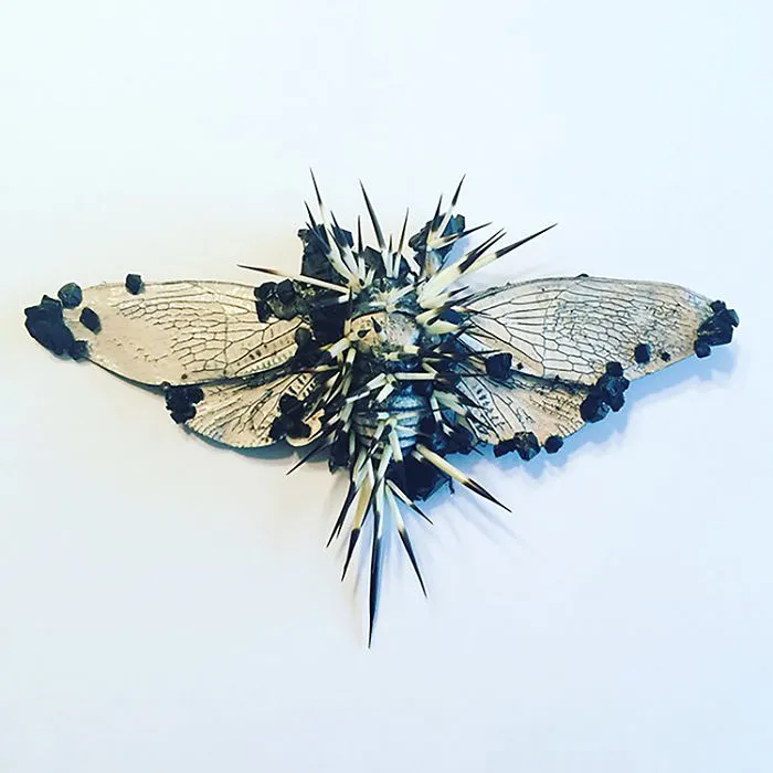 Cicada Art - Self Defense 1