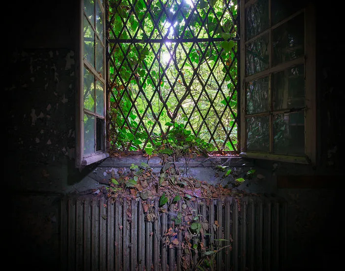Nature Ignoring The Boundaries Set