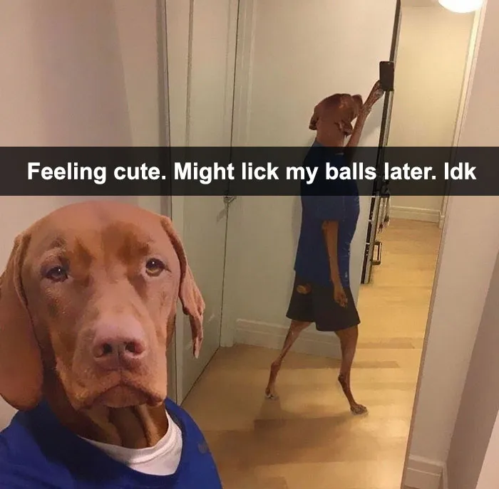 30 Hilarious Responses To #FeelingCute Challenge