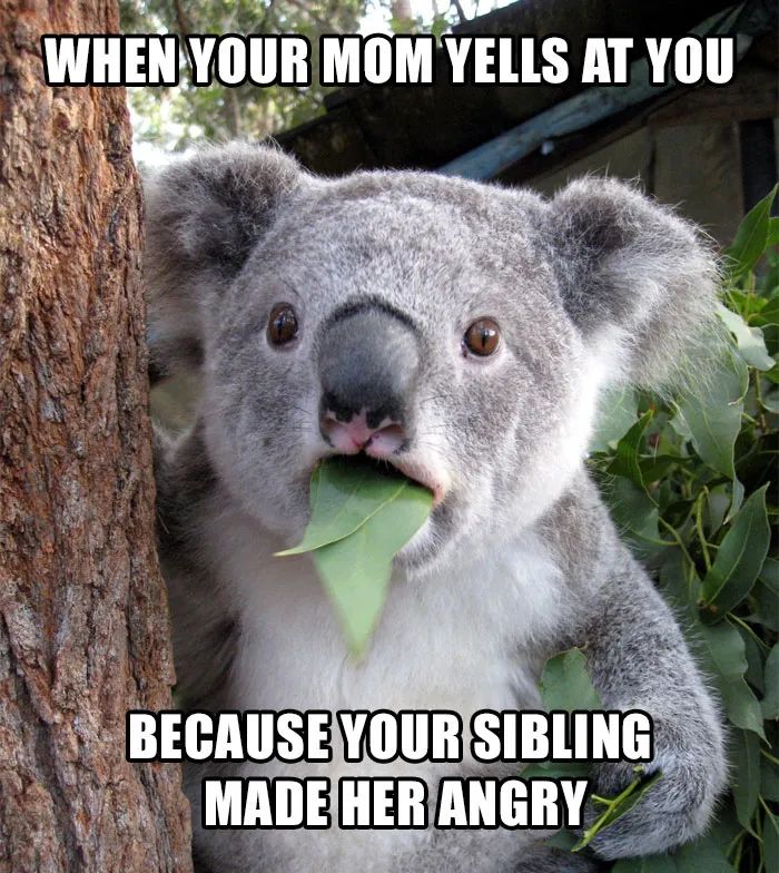 30 Of The Best Sibling Memes Ever
