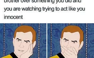 30 Of The Best Sibling Memes Ever
