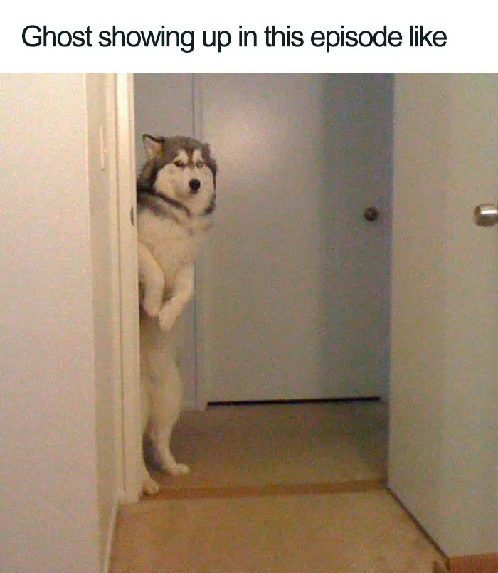 30 Best Memes From The Game Of Thrones Season 8, Episode 2 (Spoilers)