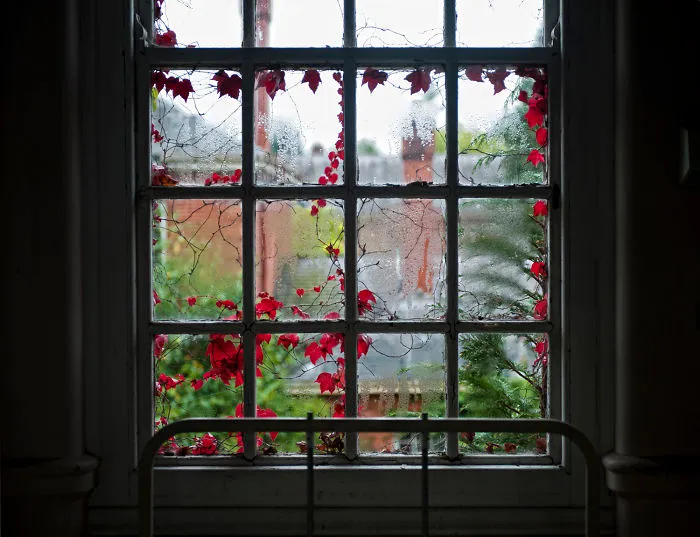 The Victorians Were Always More Partial To Ivy