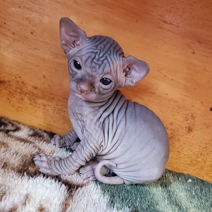 That Squishy Little Face