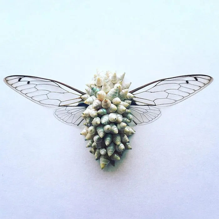 Cicada Art - Body Armour 7