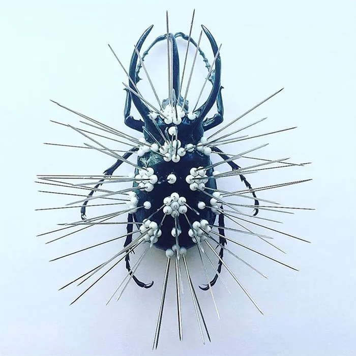 Cicada Art - Self Defense 2