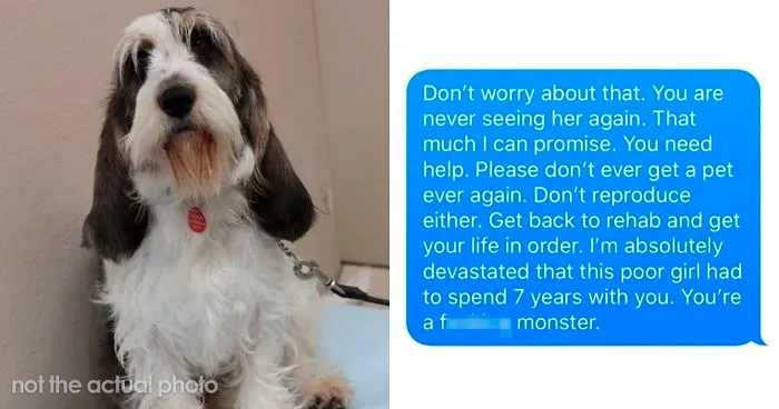 Old, Unwanted Dog Was About To Be 'Gassed' In Shelter, But When Someone Offered To Save It, Owner Demanded $450