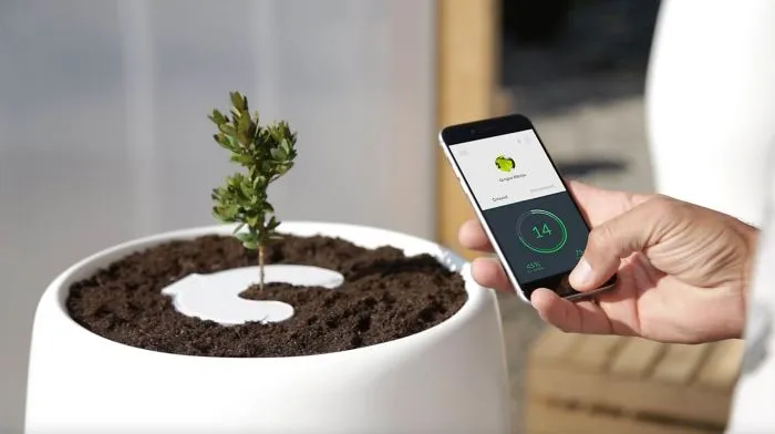 Bios Incube Is The World's First Incubator Designed To Grow The Remains Of Your Loved Ones Into Trees.  A Step Ahead Towards Converting Cemeteries Into Forests!