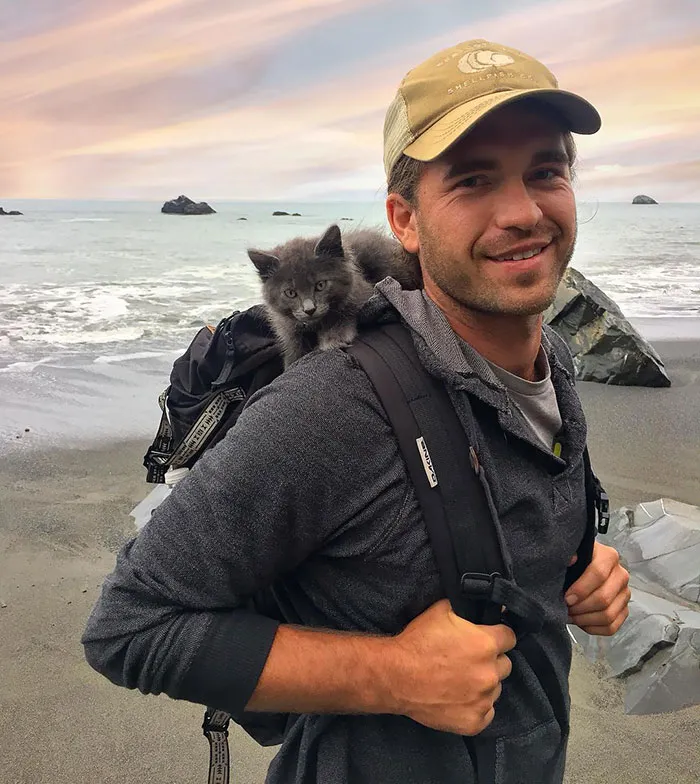 Cuando aún era un gatito y se iba de mochilero con su papá