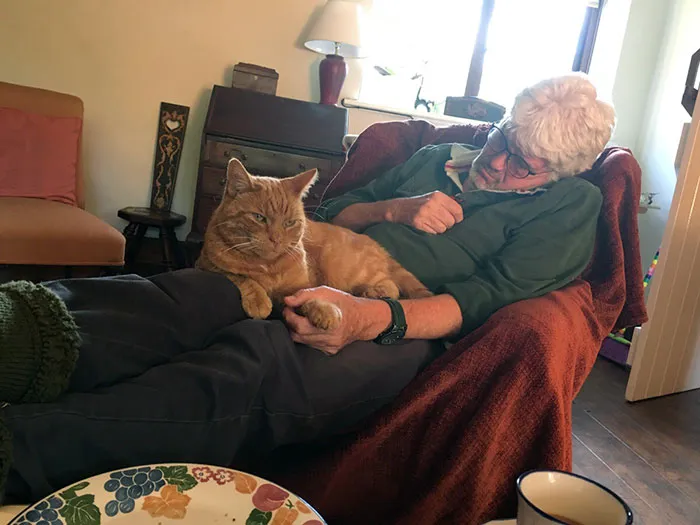 Mi padre le suele coger la pata al gato cuando se queda dormido