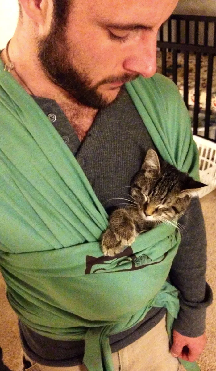 Voy a ser padre pronto, así que practico con el gato