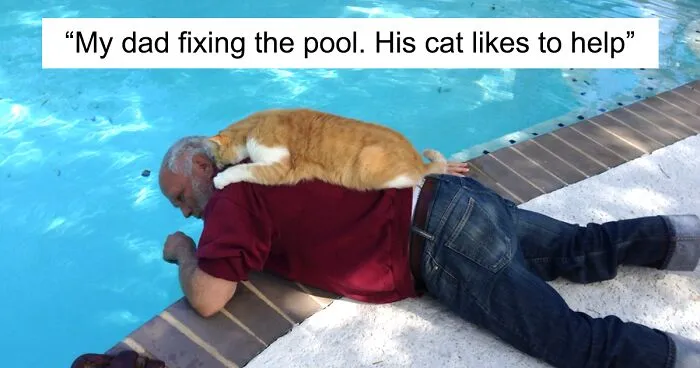 30 Of The Most Adorable Photos Of Cat Dads And Their Furry Friends