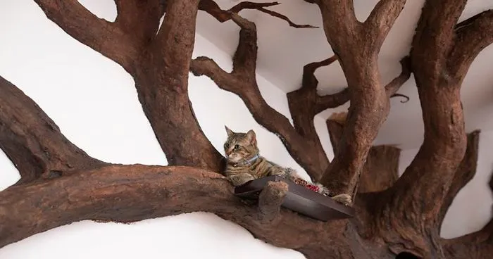 Man Creates Indoor Fake Tree For A Cat, And The Master Approves Of It