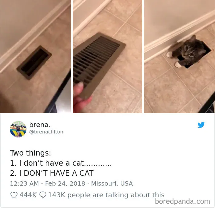 45 Of The Funniest Cat Tweets