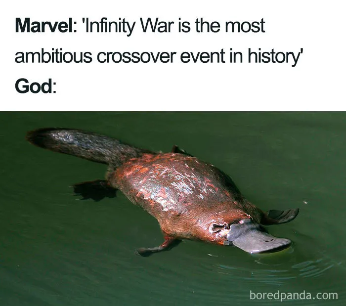 The Platypus Crossover