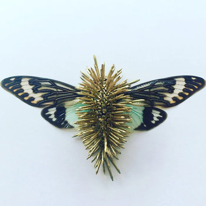 Cicada Art - Body Armour 1