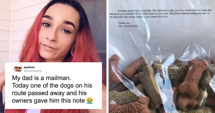 Mailman Who Used To Give Treats To Dogs On His Route Receives A Note That One Of The Dogs Has Passed Away