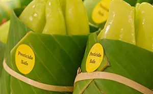 Asian Supermarkets Go Back To Using Leaves Instead Of Plastic