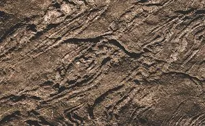 Responsible Travel Release New Bigfoot Tracking Trip...