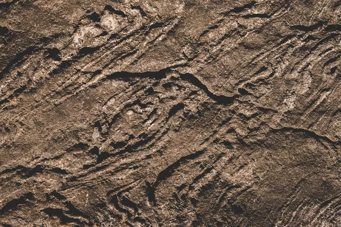 Responsible Travel Release New Bigfoot Tracking Trip...