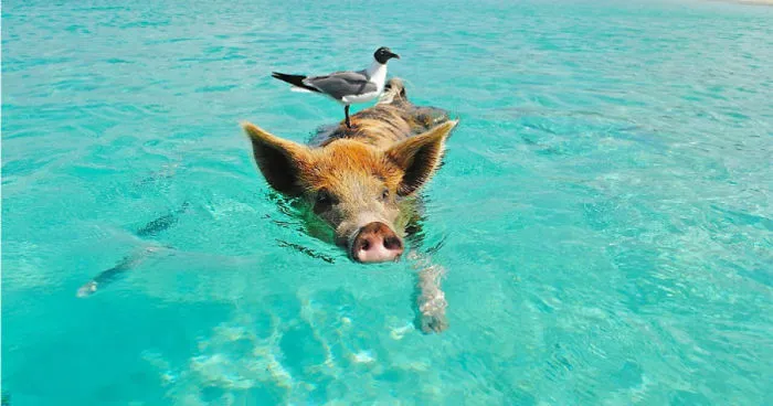8 Great Destinations For Spring Break