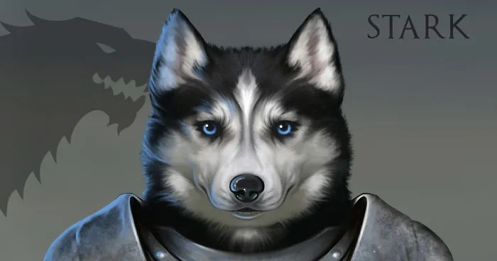 I Drew The Great Houses Of Westeros As Doggos
