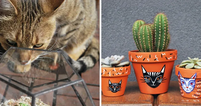 I Create Things For Cat & Plant Lovers And It Started With A Giant Pot
