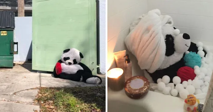 The Tale Of A Heartbroken, Homeless Panda Whose Life Was Transformed By The Love And Compassion Of Strangers
