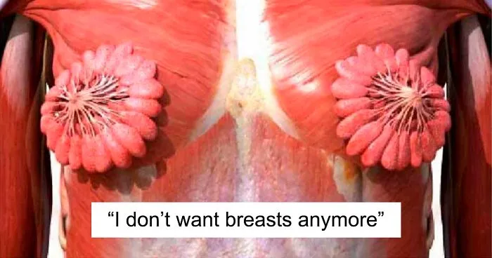 People Can't Believe This Photo Of Female Milk Glands Is Real