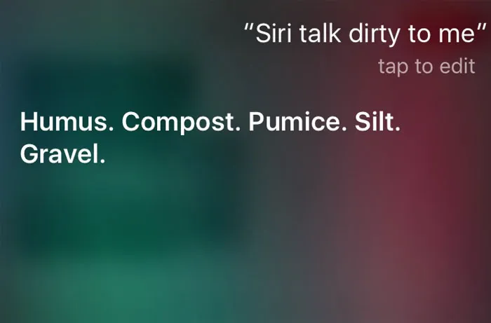 Talk Dirty To Me