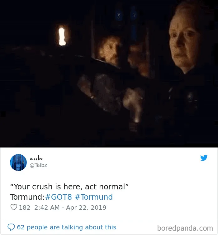 30 Of The Funniest Tormund And Brienne From GoT Memes
