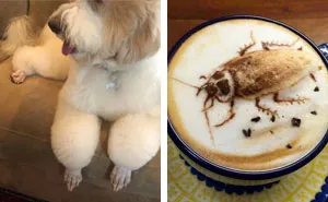 40 Times People Had Awful Taste But Executed Their Ideas Flawlessly