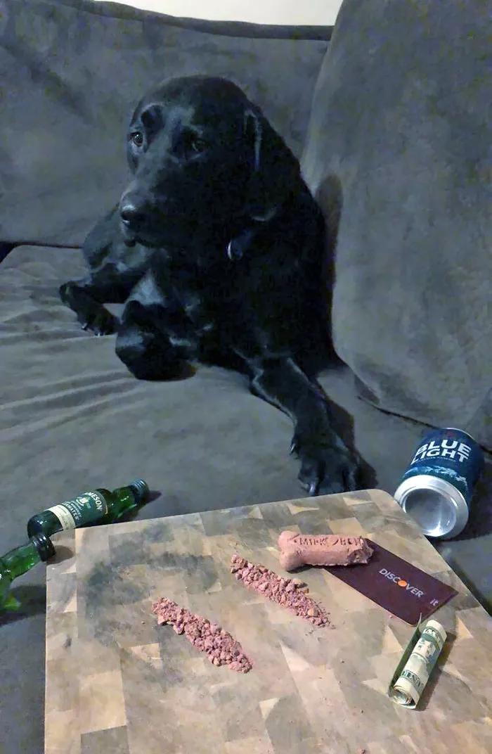 Girlfriend Left Me And The Dog Home Alone For The Weekend. First Thing I Sent Her