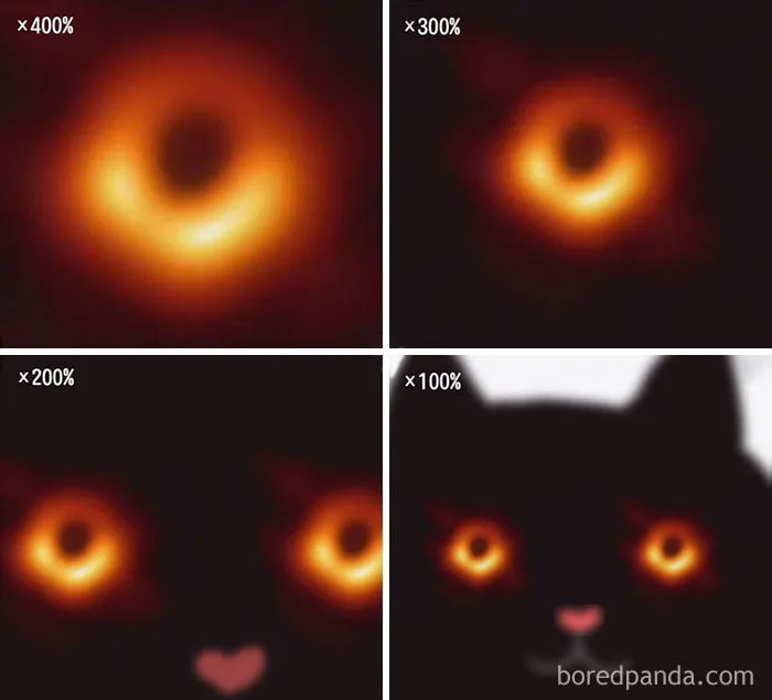 25 Of The Funniest Reactions To The First Ever Image Of The Black Hole
