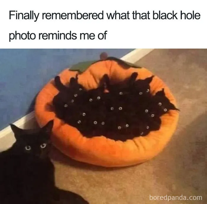25 Of The Funniest Reactions To The First Ever Image Of The Black Hole