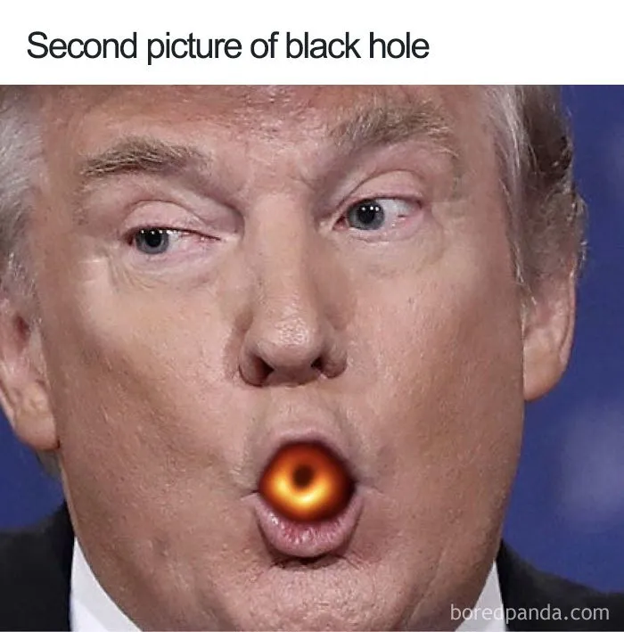 25 Of The Funniest Reactions To The First Ever Image Of The Black Hole