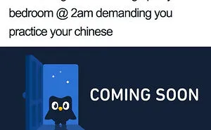 30 Hilarious Duolingo Memes