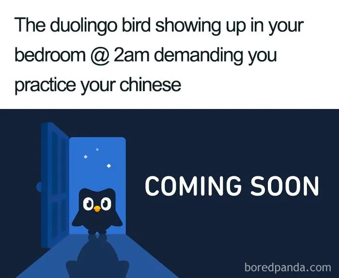 Late Night Language Lessons