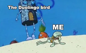 30 Hilarious Duolingo Memes