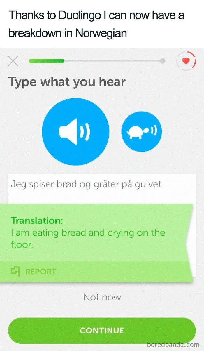Lost in Translation Mood