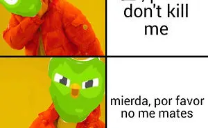 30 Hilarious Duolingo Memes