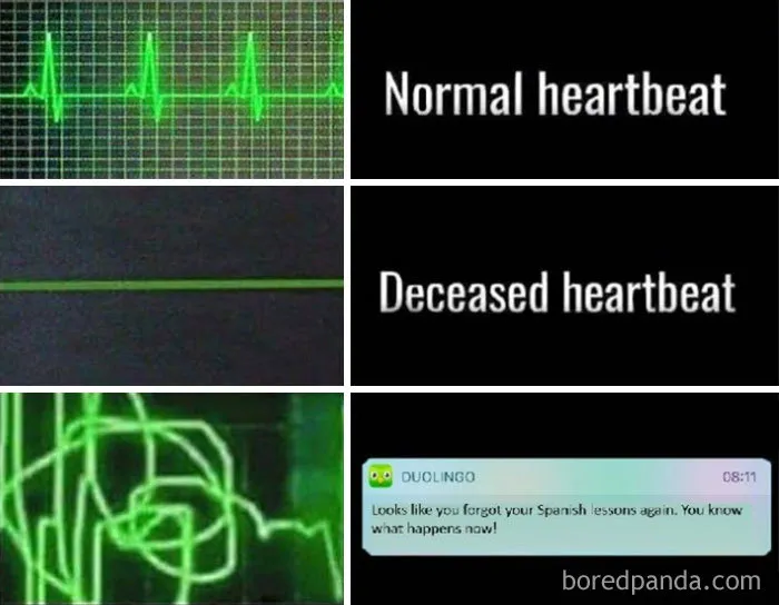 Heart Rates and Language Fates