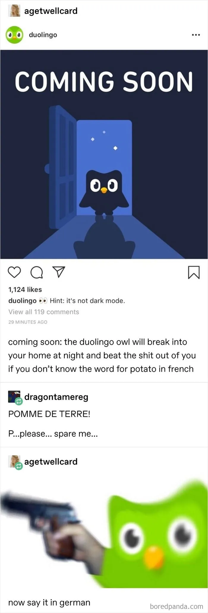 Language Lessons Gone Wild