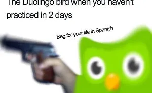 30 Hilarious Duolingo Memes
