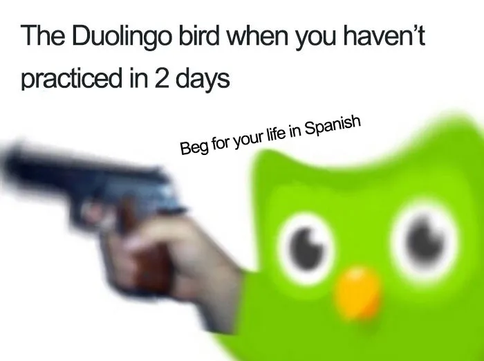 Language Learning Threats